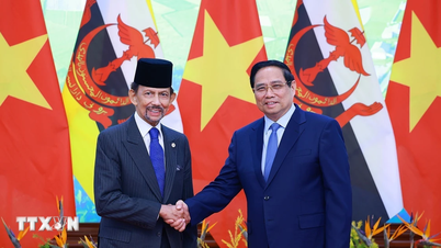 رئيس الوزراء: فيتنام تولي دائمًا أهمية لتعزيز الشراكة الشاملة مع بروناي