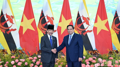 Vietnam fäster alltid vikt vid att främja det omfattande partnerskapet med Brunei Darussalam.