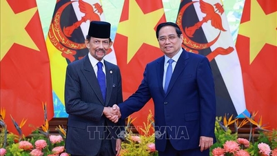 នាយករដ្ឋមន្ត្រី Pham Minh Chinh បានស្នើឱ្យបន្តផ្តល់អាទិភាពលើវិស័យសំខាន់ៗចំនួន៤ ដើម្បីអភិវឌ្ឍន៍ទំនាក់ទំនងជាមួយប្រ៊ុយណេ។