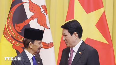 Fortalecimiento de la eficacia de la Asociación Integral Vietnam-Brunei
