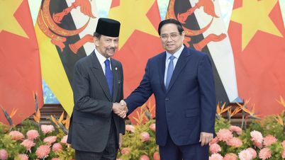 Ο Πρωθυπουργός Φαμ Μινχ Τσινχ συναντήθηκε με τον Βασιλιά του Μπρουνέι