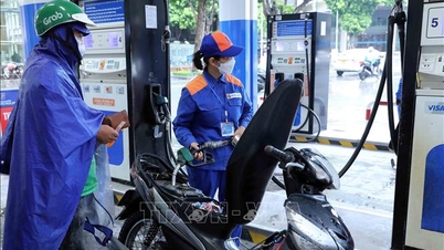 Η Petrolimex προτείνει λύσεις για την εφαρμογή πωλήσεων βενζίνης E10 σε εθνικό επίπεδο