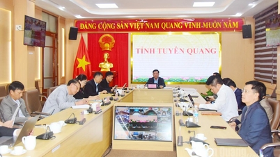 Granska och standardisera administrativa förfaranden på tre förvaltningsnivåer