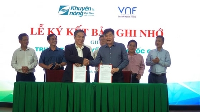 Γεωργική επέκταση - επιχειρηματική συνεργασία για την προώθηση της πράσινης γεωργίας