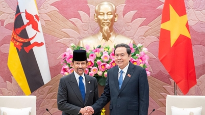 A vietnami nemzetgyűlés és a brunei törvényhozó tanács közötti együttműködés megerősítése