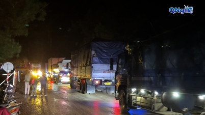 Lam Dong opens Mimosa Pass - Da Lat route