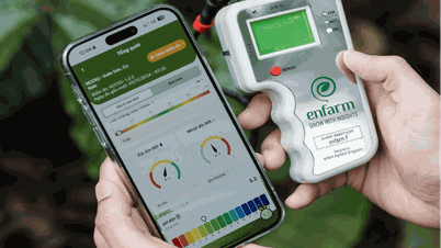 دوبارہ پیدا کرنے والی زراعت - ویتنام سے دنیا تک صحرا کے خلاف سفر