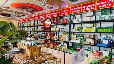 Ολοκλήρωση της εισαγωγής και του σημείου πώλησης των προϊόντων OCOP στην κοινότητα Na Hang