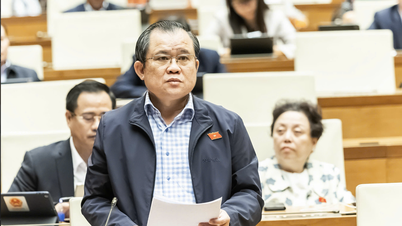 国会議員：鉱山には数十億ドルが投じられているのに、なぜそれを利用する解決策がないのでしょうか？
