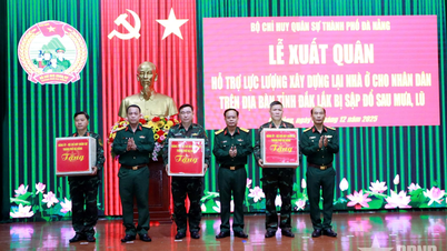 دا نانگ سٹی ملٹری کمانڈ: تقریباً 100 افسران اور سپاہی سیلاب سے متاثرہ علاقوں میں لوگوں کے لیے مکانات کی تعمیر اور مرمت کے لیے افواج میں شامل ہوئے۔