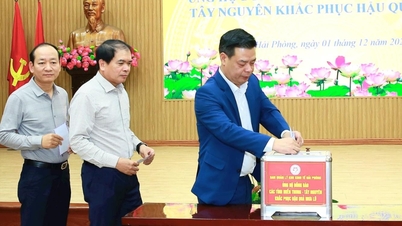 Hai Phong Ekonomik Bölge Yönetim Kurulu, Orta Dağlık Bölge ve Orta Vietnam halkına destek olmak amacıyla bir kampanya başlattı.