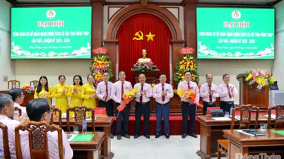 ڈونگ تھاپ صوبے کے سوشل پالیسی بینک کی ٹریڈ یونین کی کانگریس