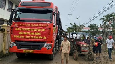 Knapp 830 Tonnen Reis zur Hungersnotbekämpfung wurden an von Naturkatastrophen betroffene Gebiete verteilt.