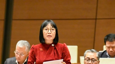 Пропозиція щодо доповнення правил щодо захисту інформації людей під час участі в цифровому просторі