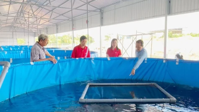 Gjennombrudd innen urban landbruksutvikling