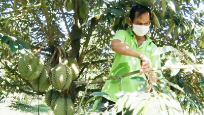 Nytt utseende på My Thien etter fusjonen