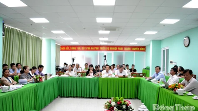 ڈونگ تھاپ اخبار، ریڈیو اور ٹیلی ویژن: صحافتی معیشت کے حل پر تبادلہ خیال