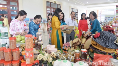 Dong Thap: Terus mempromosikan dan memfasilitasi perempuan untuk memulai dan mengembangkan bisnis