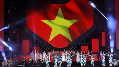 Nghệ sĩ quyên góp 25 tỷ đồng hỗ trợ người vùng bão lũ