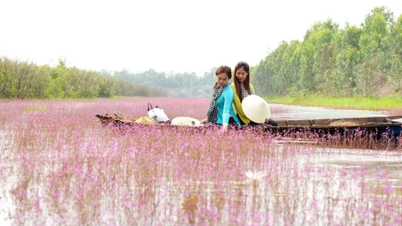 فطرت: "استاد" جو دریا کے علاقے میں لوگوں کو خوش کرتا ہے۔