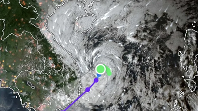 Badai No. 15 telah melemah menjadi depresi tropis.