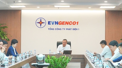 EVNGENCO1: Melakukan usaha yang terbaik untuk melengkapkan rancangan 2025