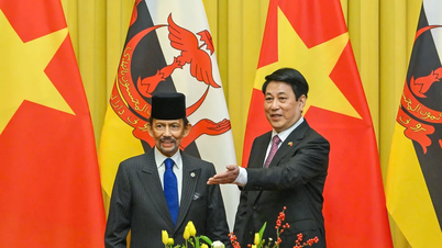 El Presidente Luong Cuong mantuvo conversaciones con el Sultán de Brunei.