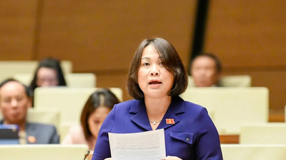 Noggrann hantering av meningsskiljaktigheter