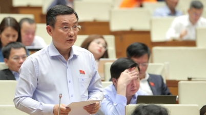 Delegații își fac griji că 99% din datele comportamentale ale vietnamezilor sunt în străinătate, iar companiile autohtone sunt însetate de date.