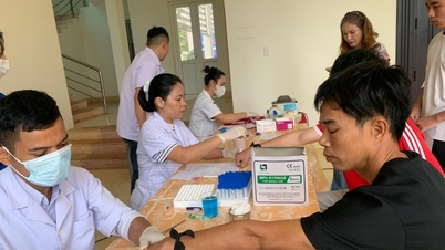 自発的献血のための州運営委員会の設立