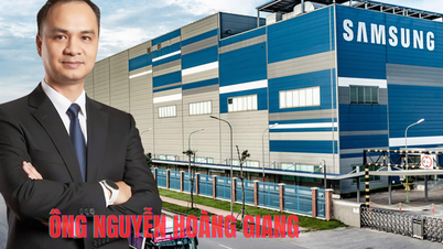 ជនជាតិវៀតណាមដំបូងគេដែលក្លាយជាអ្នកដឹកនាំជាន់ខ្ពស់របស់ក្រុមហ៊ុន Samsung វៀតណាម