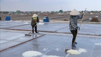 ریت سے خشک نمک کے اناج کی قدر میں اضافہ کریں۔