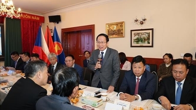 हाई फोंग चेक गणराज्य के भागीदारों के साथ सहयोग करता है