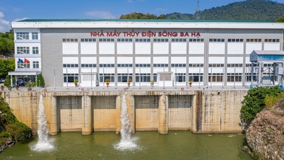 Direktur Jenderal PLTA Song Ba Ha bekerja sama dengan pihak berwenang