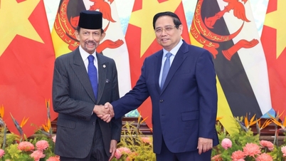 ভিয়েতনাম এবং ব্রুনাই তেল, গ্যাস এবং রাসায়নিক ক্ষেত্রে সহযোগিতা বৃদ্ধিকে অগ্রাধিকার দেয়।