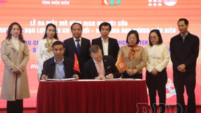 Einführung eines zentralen Anlaufpunkts zur Unterstützung von Frauen und Kindern, die von Gewalt betroffen sind