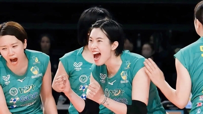 Thanh Thuy kembali ke rumah, tim voli Jepang punya pengumuman khusus