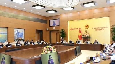 ข่าวประชาสัมพันธ์ เรื่อง การประชุมคณะกรรมาธิการสามัญประจำรัฐสภา สมัยที่ 52