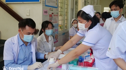 Instituto de Nutrição monitora campanha de suplementação de vitamina A em Dong Nai