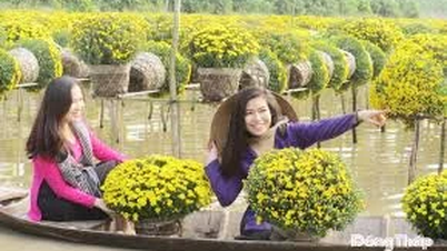 Styrking av kommunikasjon og markedsføring av den andre blomster- og prydfestivalen lørdag i desember i 2025