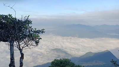 Thanh Hoa : Exploiter le potentiel du tourisme écologique dans la forêt à usage spécial de Pu Luong