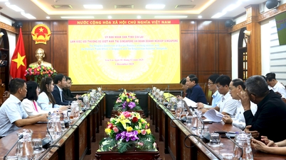 Thương vụ Việt Nam kết nối doanh nghiệp Singapore đến tìm hiểu đầu tư tại Gia Lai