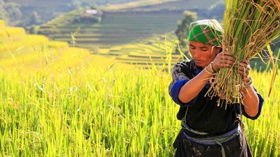 Les partenaires internationaux apprécient les efforts déployés par le Vietnam en matière de réduction durable de la pauvreté.