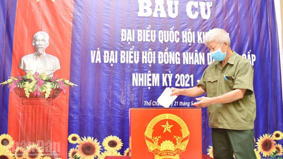 An Giang genomför valet av suppleanter till den 16:e nationalförsamlingen och folkråden på alla nivåer.