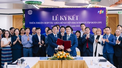 بیمارستان باخ مای، هوش مصنوعی را در معاینات و درمان پزشکی به صورت دیجیتالی متحول می‌کند و به کار می‌گیرد.