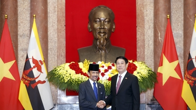 Бруней продолжает оказывать содействие вьетнамским компаниям в поиске и разведке нефти и газа.