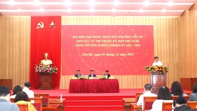 Yen So Ward skupia się na kwestiach podnoszonych przez wyborców i zdecydowanie je rozwiązuje.