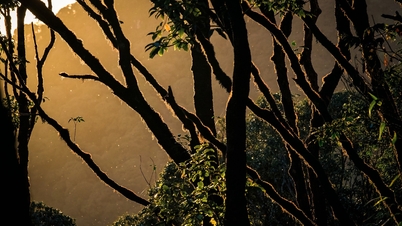 بارش کے دن پھیپھڑوں کانگ کا ٹریک کرنا