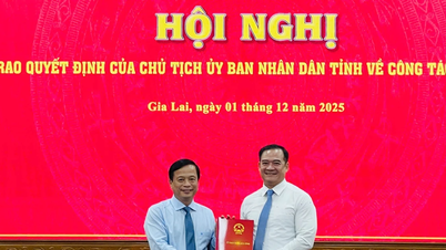 Anunțarea deciziilor președintelui Comitetului Popular Provincial Gia Lai privind personalul