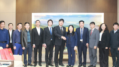 প্রাদেশিক গণ কমিটির ভাইস চেয়ারপার্সন ভু থি হিয়েন হান জাপানের ইয়োকোসুকা কিয়োসাই হাসপাতাল থেকে আসা একটি প্রতিনিধিদলকে স্বাগত জানান।